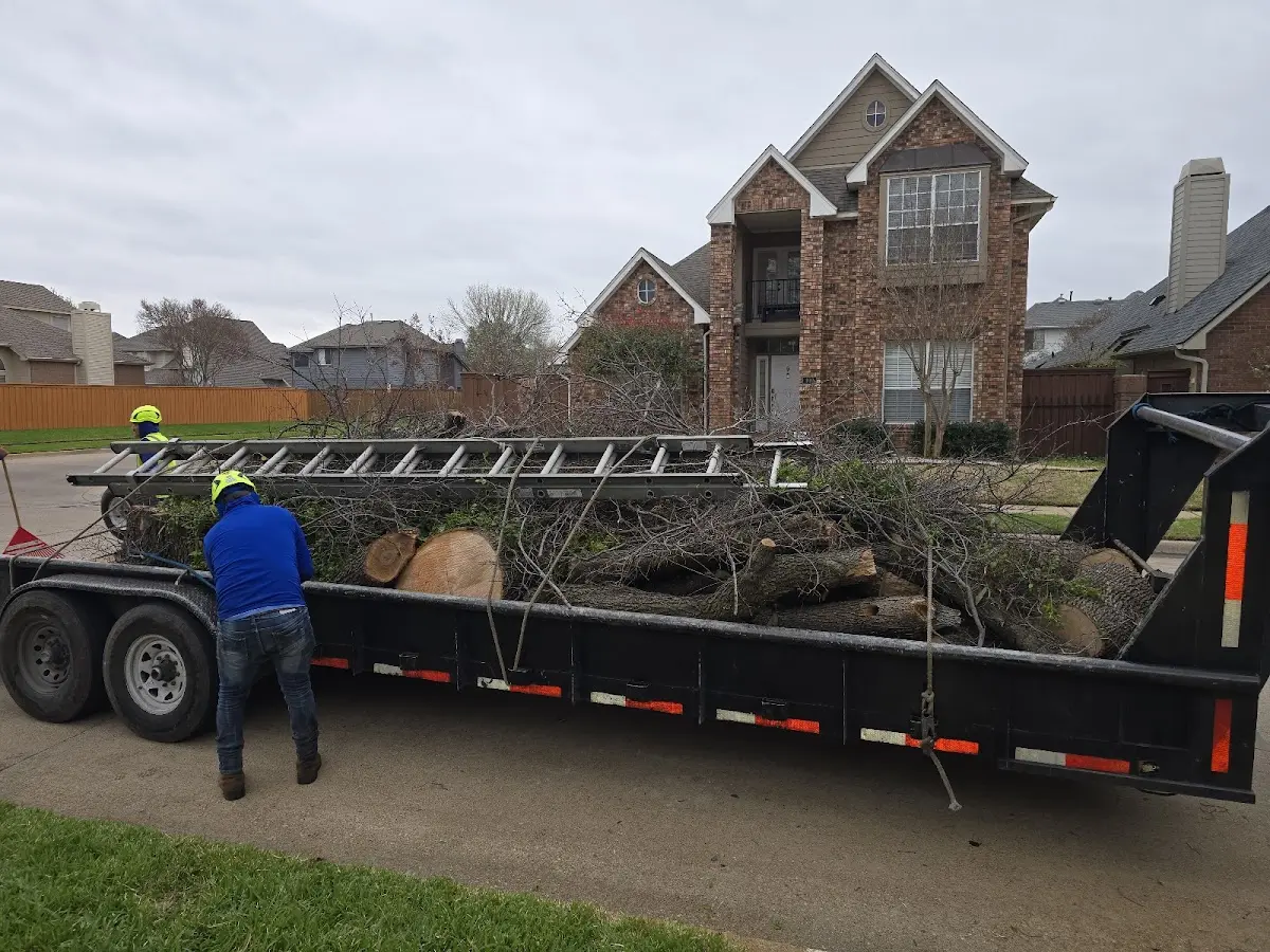 Expert Tree Fertilization with proper safety equipment in Stafford Springs